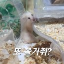 (주)한국클라리티 | 서른여섯 번째 추억 : 정신과 신체의 쳇바퀴(4/1 ~ 7)