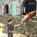 번영로어린이집 | 제주 아이와 가볼만한곳｜서귀포 승마체험 목장카페 밭디 후기