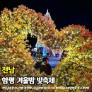 함평 겨울 빛축제 엑스포공원 주차장 전남 크리스마스 축제