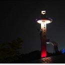 알펜시아 스포츠파크 크로스컨트리 경기장 이미지