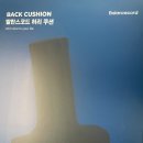 라인카이로프랙틱 | 의자 허리쿠션 추천, 발란스코드 카이로프랙틱 쿠션 솔직후기