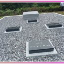 곡성묘이장 묘지이장 산소이장 벌초 서비스까지 고민을 덜어주는 솔루션