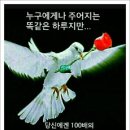 늘처음처럼 이미지