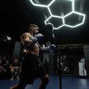 UFC 챔피언 일리아 토푸리아 근황 이미지