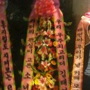 갈월공원 주변도로공원측 일면 | 소녀시대 태연에 대해알아보자