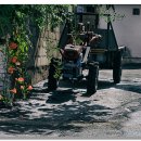 골목길그집 이미지