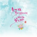 감성글씨 그림이랑 캘리그라피 이미지