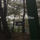 애크로매틱어린이대공원
