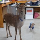 양지 농장2 이미지