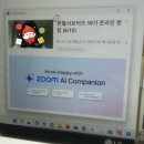 대한적십자사부산혈액원 | 대한적십자사 헌혈서포터즈 10기 합격! 지원서 작성과 면접 꿀팁🍯 [피리부는 소녀들]