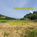 용지농장 Daum카페