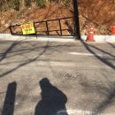 무릉별유천지 진입로 이미지