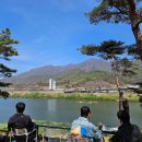 나루터 | 서울 근교 미사 카페 한강뷰 힐링 베이커리 카페 도미나루터 후기