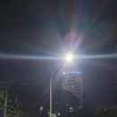 리앤트리 이미지