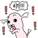 다우리가마솥 이미지
