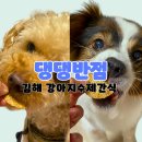 댕댕반점 이미지