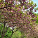 서산터널 화장실 이미지