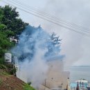 메르온수수영장펜션