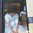 디저트39서귀포명동로점 이미지