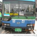 영진교통 이미지