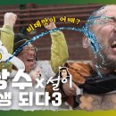 엉뚱스토어 이미지