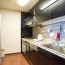 팔레드시즈 이미지