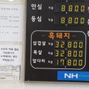 서귀포시축산업협동조합플라자 이미지