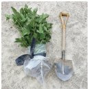 왕산농장 이미지