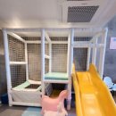 키즈풀빌라 이미지