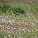 프리마루체 건너편 이미지