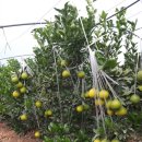 왕눈이농장 이미지