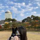 호텔밀레니엄 이미지