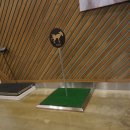 럭셔리애견사랑 이미지