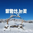 12월25일 (크리스마스) 06:20 평창 발왕산※용평리조트 뒷산☆동계 올림픽 유치지☆하얀 설국의 땅에서 크리스마스 이미지