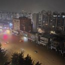 정선고등학교 | 그럼 그냥 9월 진행할게요