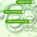 라벨르백옥