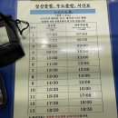 우도해남펜션 | 제주도 휴가 2일차(2022.8.11.) 우도 1박 후기
