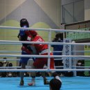 드림원 복싱체육관 이미지