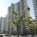 무궁화건영 이미지