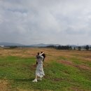 미영목장 이미지