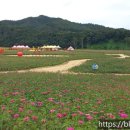 산소카페 청송정원 매표소 근처 이미지