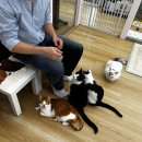 효정요양병원 | 사랑