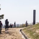 임학공원(임학정) 이미지