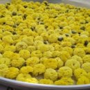 익산 농장 이미지