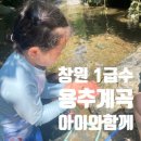 감천계곡 입구 | 창원 용추계곡 아이와 함께