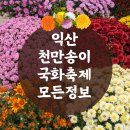광전자사원아파트 | 익산 국화꽃축제 천만송이 국화축제 일정표 입장료 주차장 셔틀버스 동춘서커스