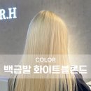 아도어 네이버블로그