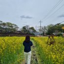 세븐일레븐꽃마을점 이미지