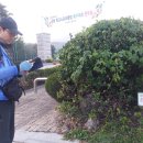 화도마트 이미지