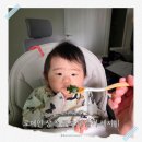 후기이유식 로메인 상추 큐브 만들기 채소 이유식 거부 해결 Tip